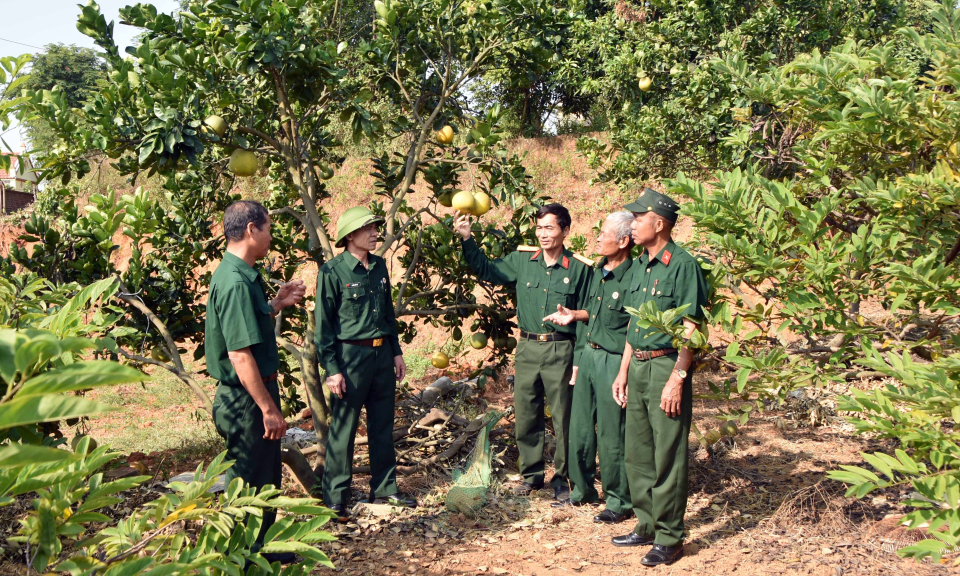 Hội CCB TP Đông Triều: Giúp nhau phát triển kinh tế