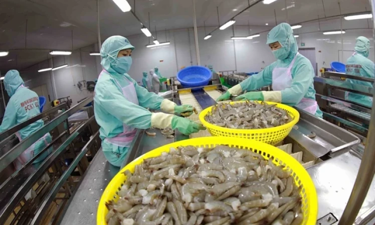 Shrimp exports surge in 10 months, generating 3.2 billion USD 