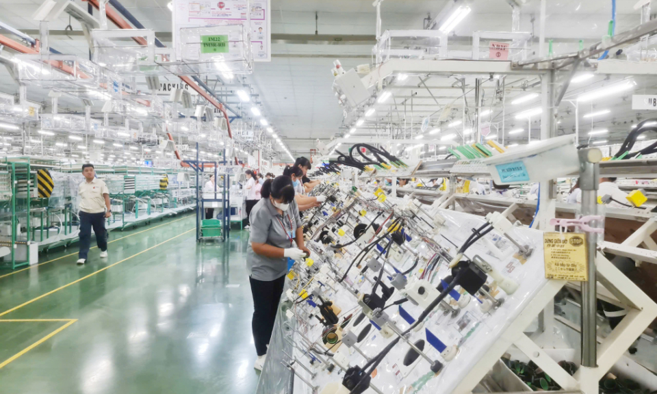 广宁海关局力争实现今年征收额17万亿越盾
