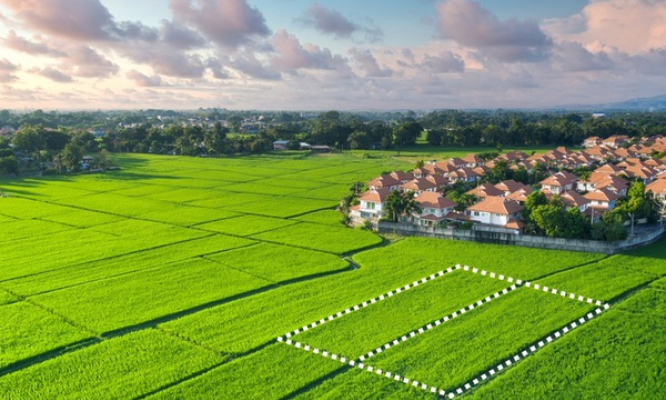 Điều kiện chuyển đất trồng lúa thành đất ở