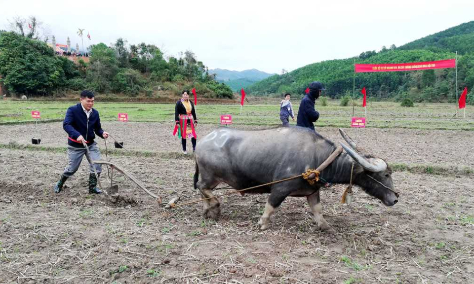 Xuống đồng ngày xuân 