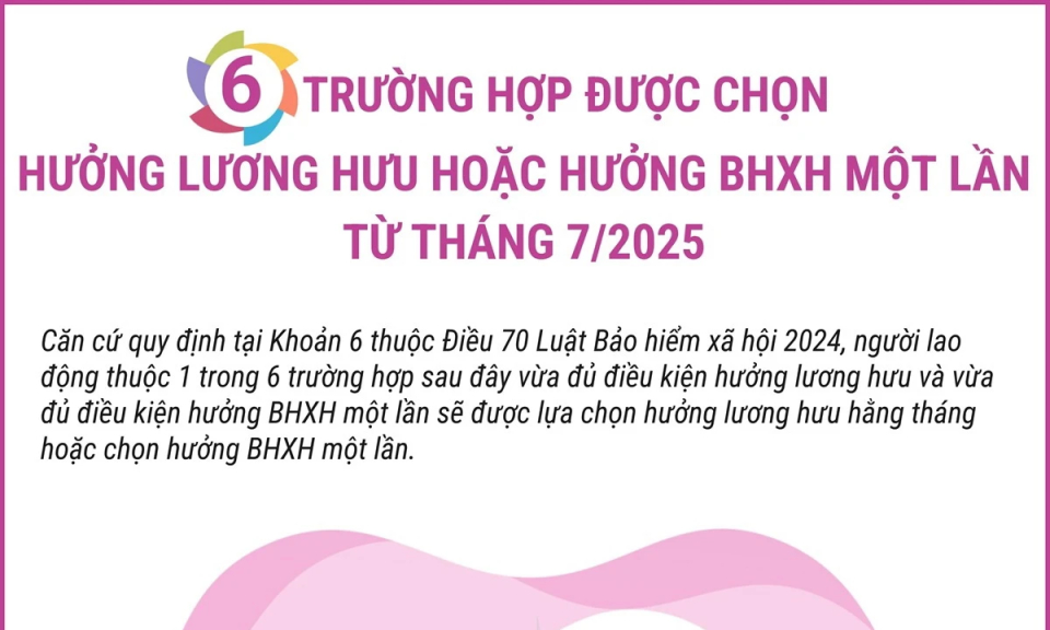 6 trường hợp được chọn hưởng lương hưu hoặc Bảo hiểm xã hội 1 lần