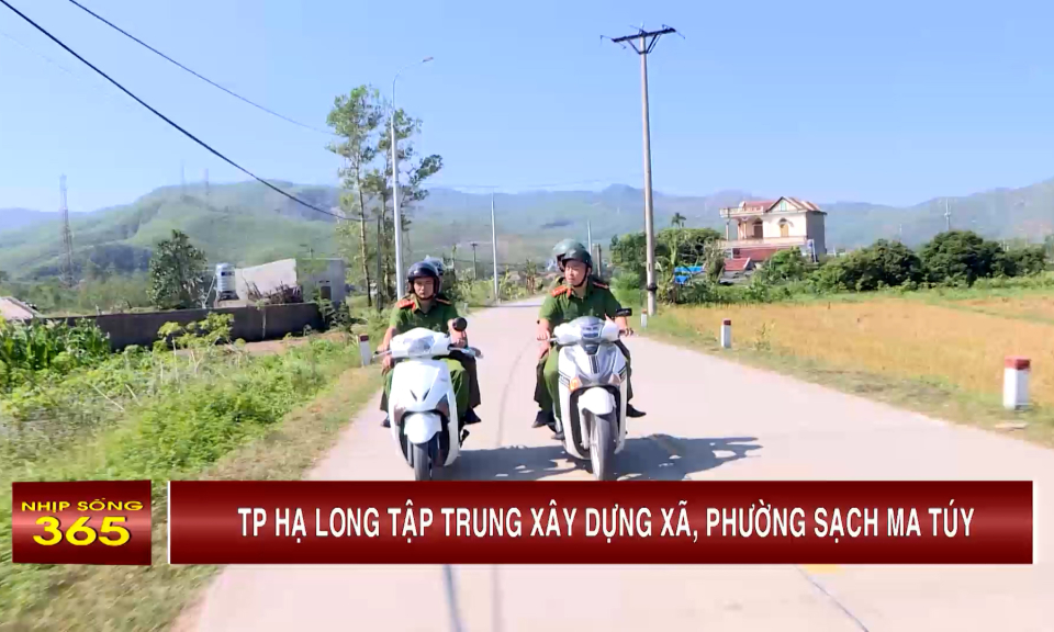 TP Hạ Long tập trung xây dựng xã, phường sạch ma túy