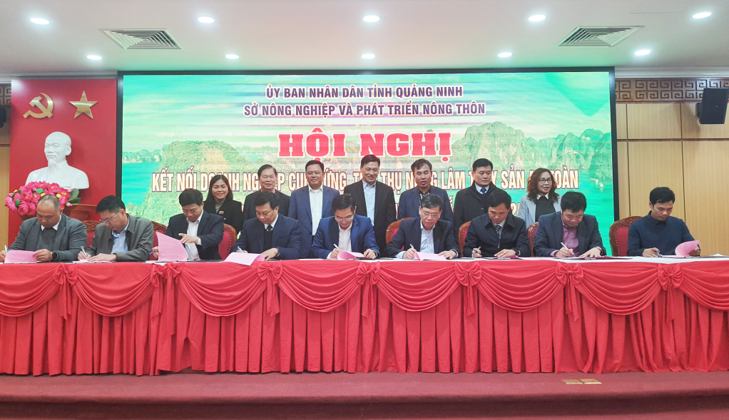Đại diện các địa phương, đơn vị sản xuất, phân phối và tiêu thụ sản phẩm ký kết Quy chế phối hợp về thực hiện công tác quản lý chất lượng, ATTP, PTTT tại Hội nghị kết nối doanh nghiệp cung ứng, tiêu thụ nông lâm thủy sản an toàn của tỉnh Quảng Ninh với một số tỉnh phía Bắc. Ảnh Việt Hoa