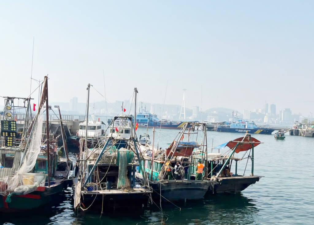 Tàu cá vi phạm quy định của pháp luật về khai thác thủy sản bị Đồn BPCK cảng Hòn Gai bắt giữ, xử lý.