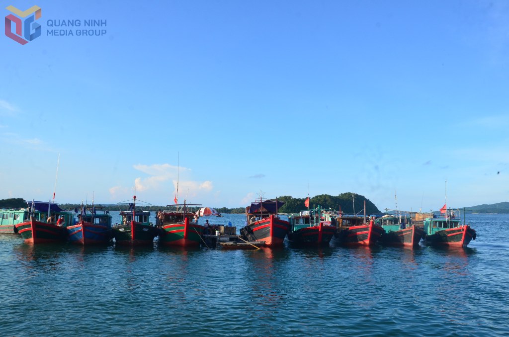 Ngư dân Cô Tô luôn đồng hành bên nhau cùng vươn khơi bám biển.