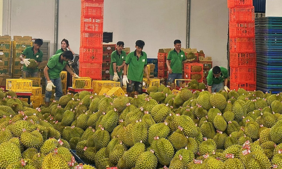 Thương mại Việt Nam – Trung Quốc tiến sát mốc 200 tỷ USD