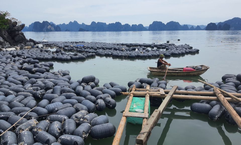 Tiếp sức cho người dân phục hồi nghề nuôi trồng thủy sản