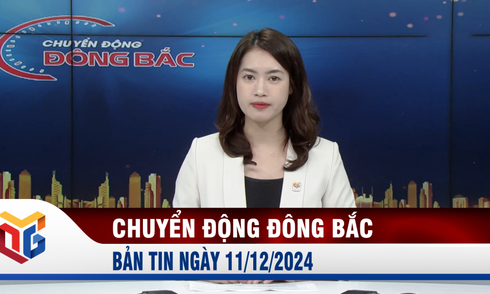 Chuyển động Đông Bắc ngày 11/12/2024