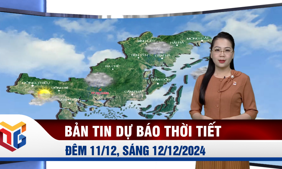 Dự báo thời tiết đêm 11, ngày 12/12/2024