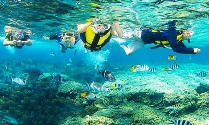 Viet Nam to efficiently manage 27 maritime protected areas