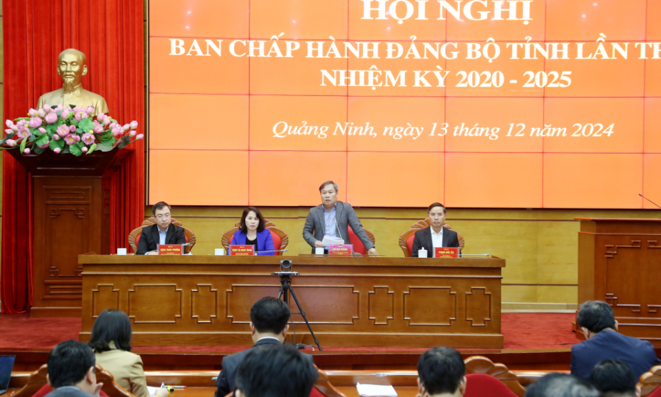 Ban Chấp hành Đảng bộ tỉnh cho ý kiến vào Đề cương chi tiết Báo cáo chính trị