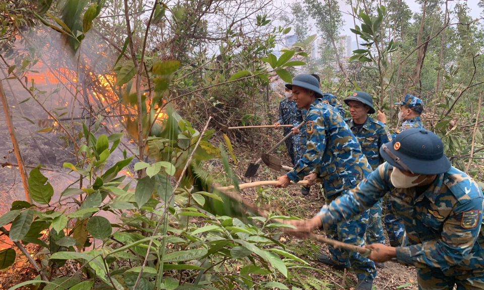 Huy động nhiều lực lượng chữa cháy rừng tại phường Bãi Cháy