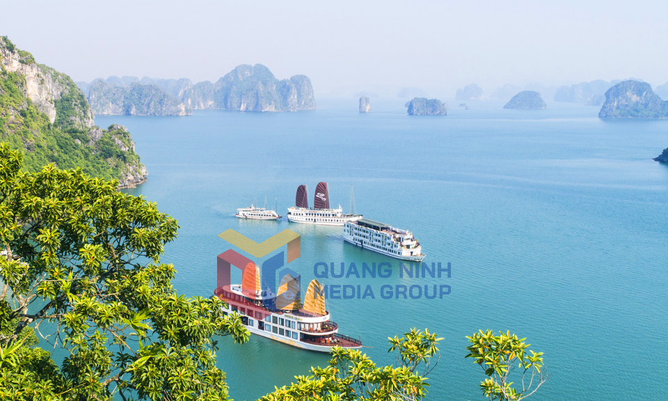 Tàu thuyền du lịch