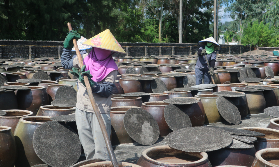 Xây dựng nông thôn mới hiệu quả, bền vững