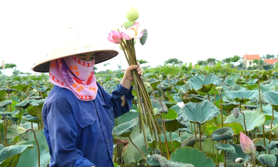 Xây dựng những vùng NTM sạch đẹp
