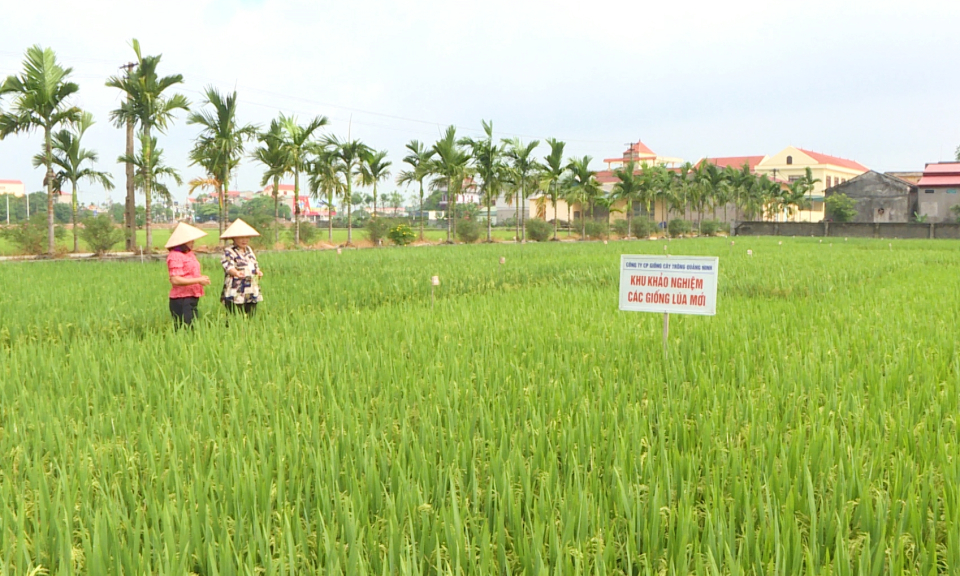 Hỗ trợ tạo lập, quản lý và phát triển tài sản trí tuệ