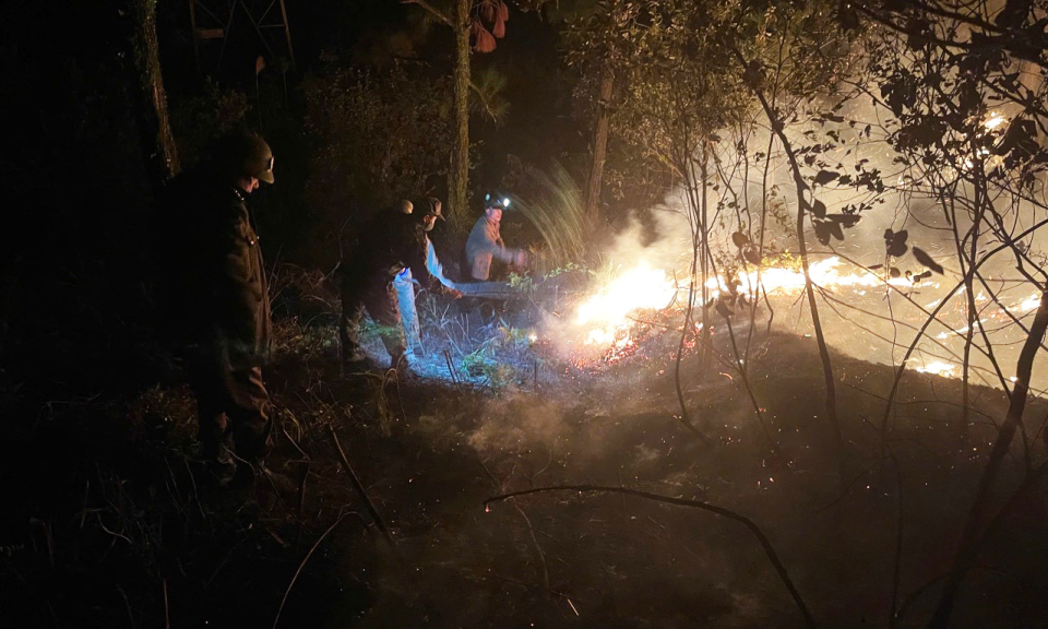 Cơ bản khống chế đám cháy rừng tại phường Minh Thành (TX Quảng Yên)