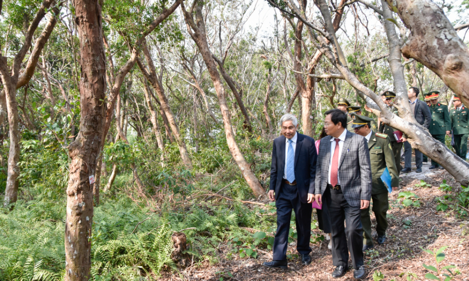 156 trees at Bai Tu Long National Park recognized as heritage ones