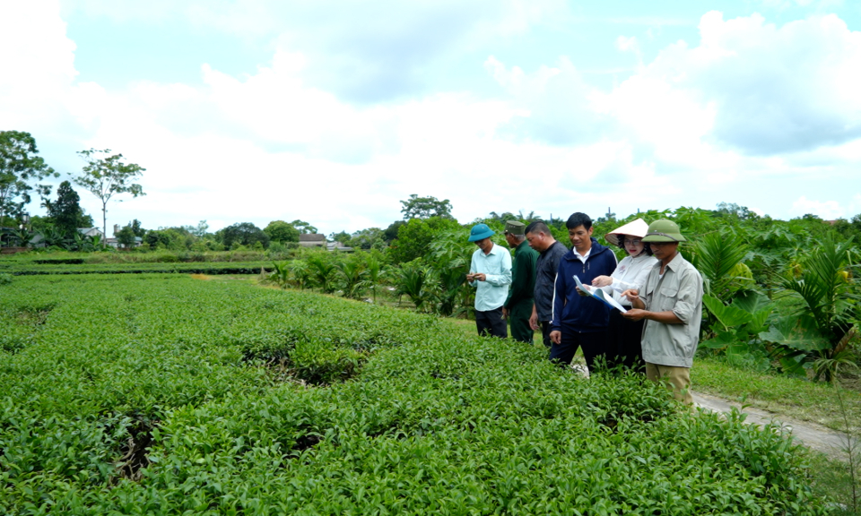 Đổi mới tư duy để phát triển nông nghiệp bền vững