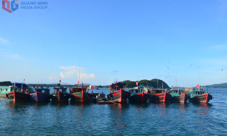 Vẻ đẹp hào sảng của người Vùng mỏ 