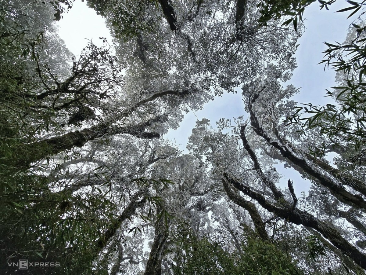 Frost blankets high mountain peaks in northern Vietnam