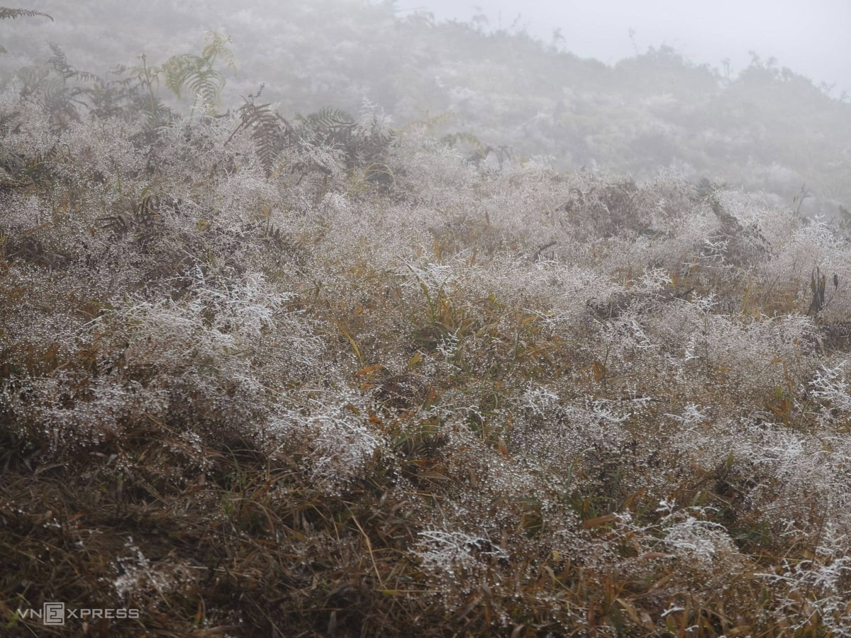 Frost blankets high mountain peaks in northern Vietnam