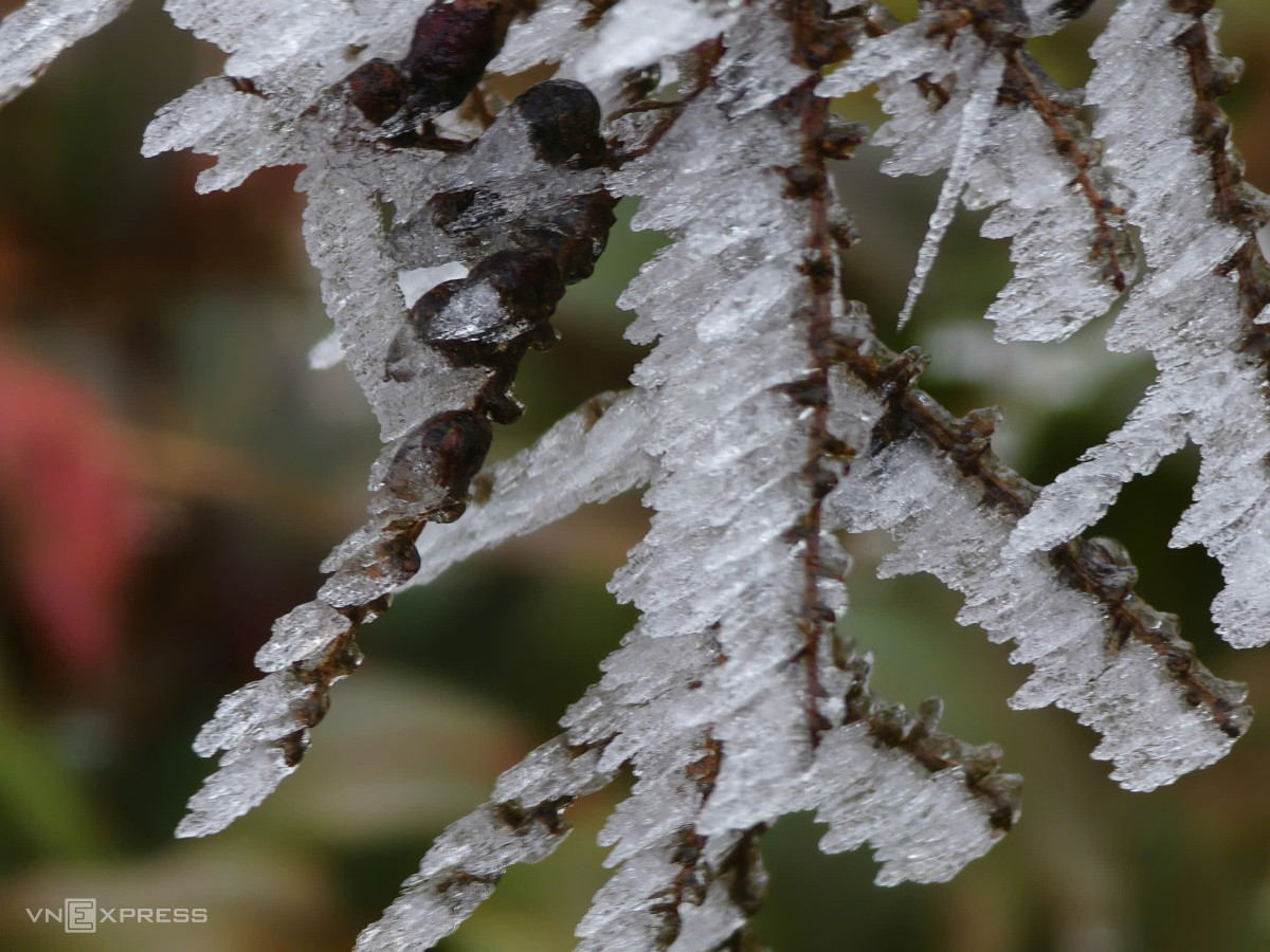 Frost blankets high mountain peaks in northern Vietnam