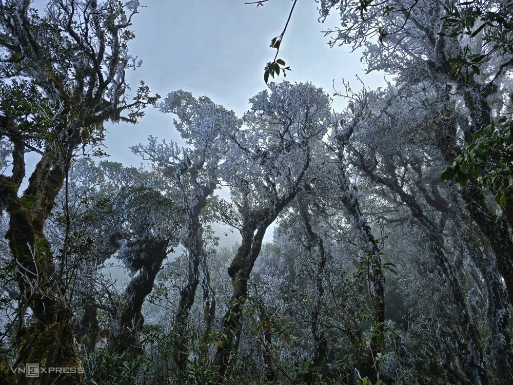 Frost blankets high mountain peaks in northern Vietnam