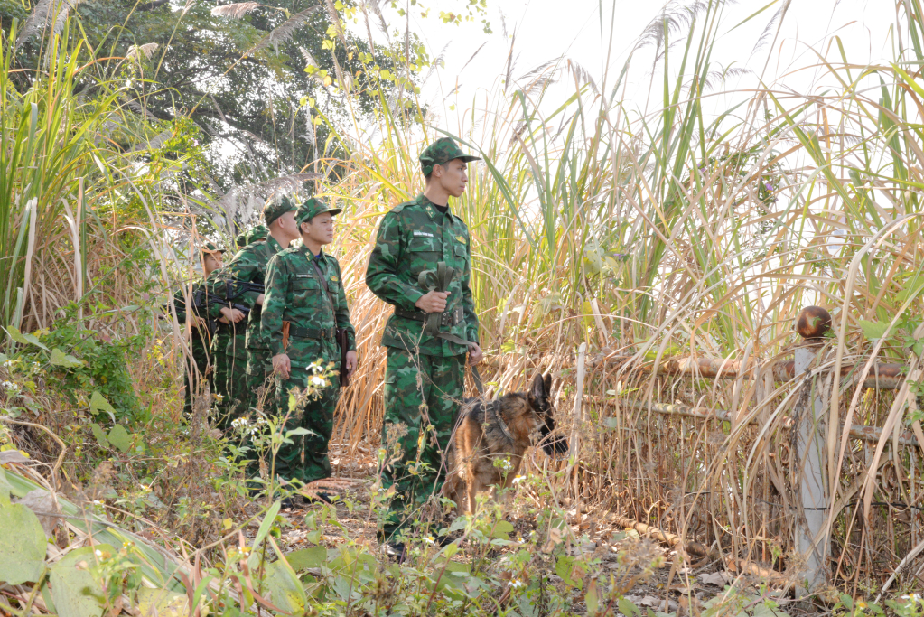 Ảnh 2: Núi cao rừng rậm cũng không ngăn được bước chân của người lính biên phòng. (CBCS Đồn BPCK Quốc tế Móng Cái tuần tra trên tuyến biên giới đơn vị phụ trách)