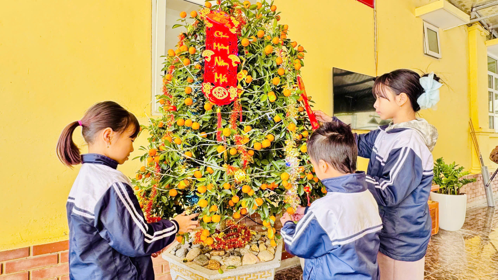 Các cháu học sinh trên đảo sau giờ học trên lớp cũng tham gia trang trí đào, quất đón Tết. 