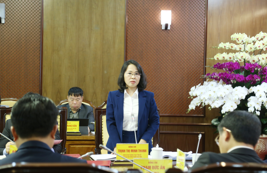 Đồng chí Trịnh Thị Minh Thanh, Phó Bí thư Thường trực Tỉnh ủy, Chủ tịch HĐND tỉnh, phát biểu tại hội nghị.
