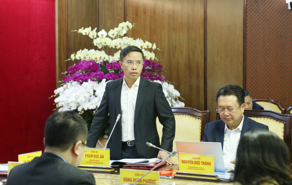 Đồng chí Phạm Đức Ấn, Phó Bí thư Tỉnh ủy, Chủ tịch UBND tỉnh, phát biểu tại hội nghị.