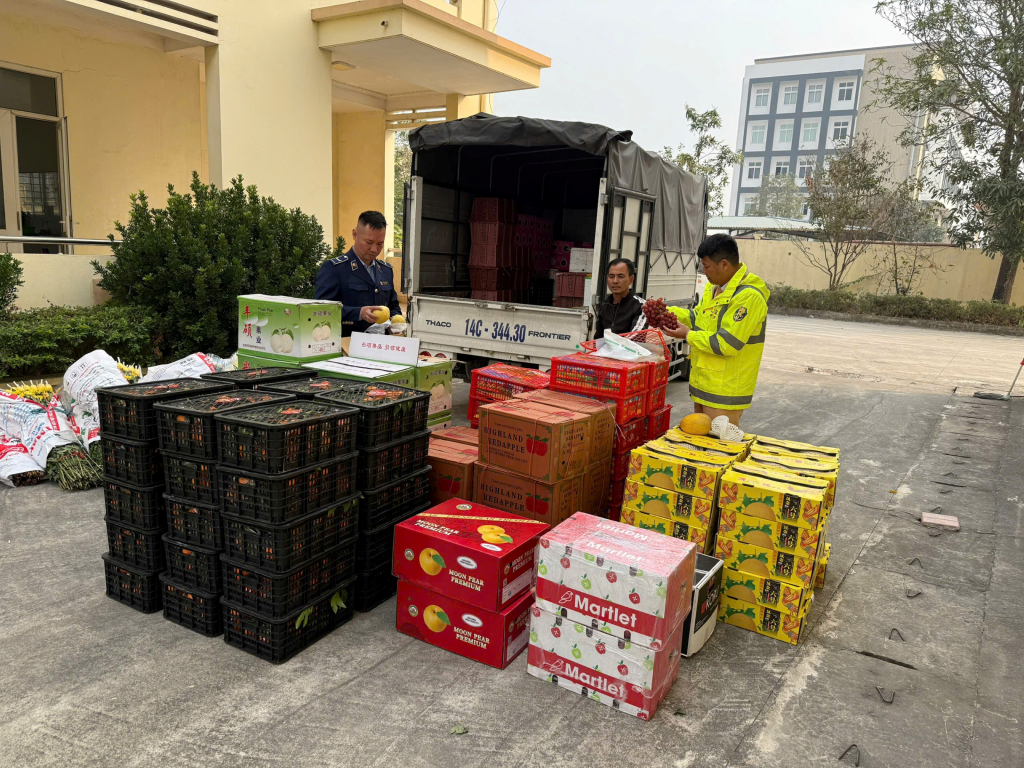 105 thùng hoa quả có nguồn gốc từ Trung Quốc được lực lượng chức năng phát hiện.