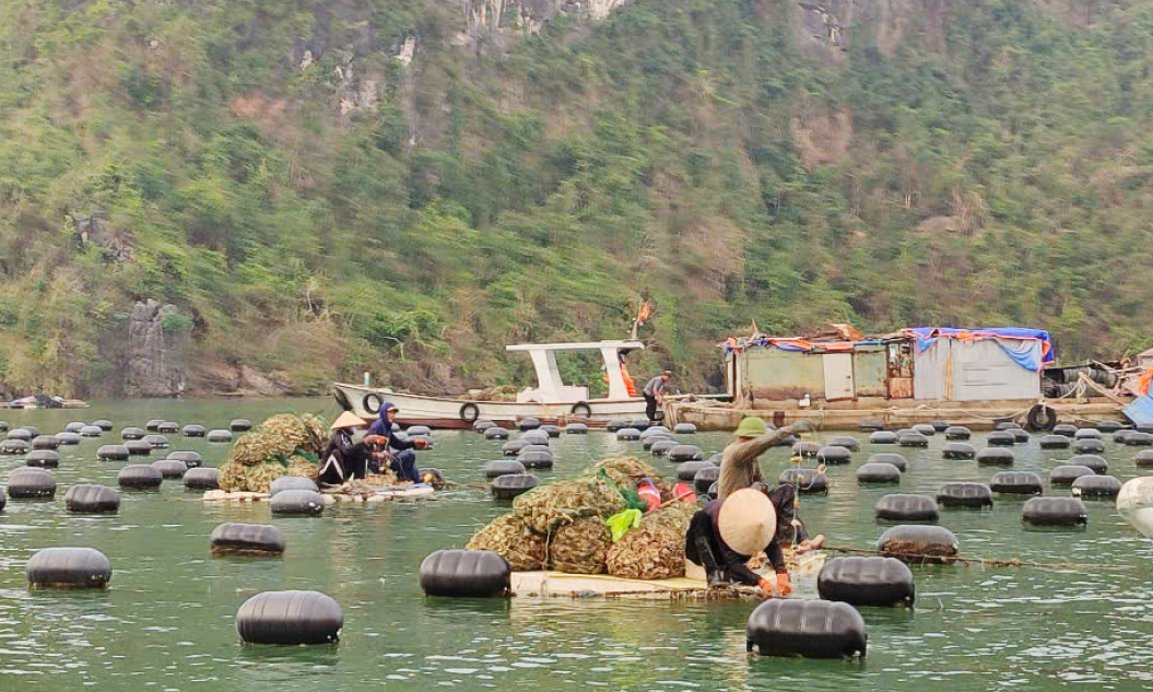 Ngành Nông nghiệp quyết tâm vượt khó 