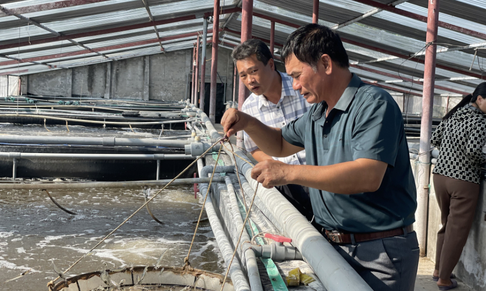 Gia tăng hiệu quả sử dụng đất nông nghiệp
