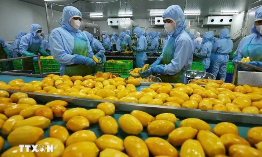 Vietnam eyes 8 billion USD in fruit, vegetable export value in 2025 