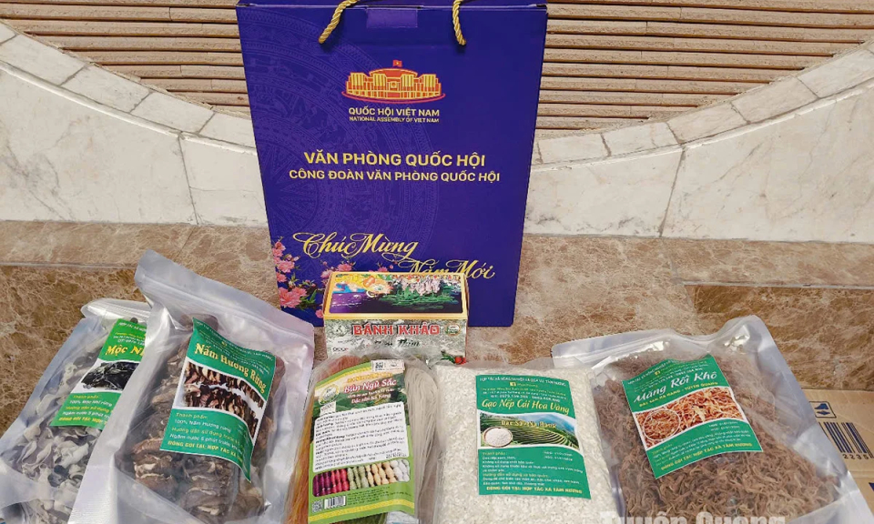 Bản tin vùng Đông Bắc ngày 16/01/2025