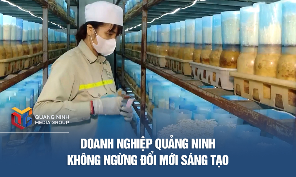 Doanh nghiệp Quảng Ninh không ngừng đổi mới sáng tạo