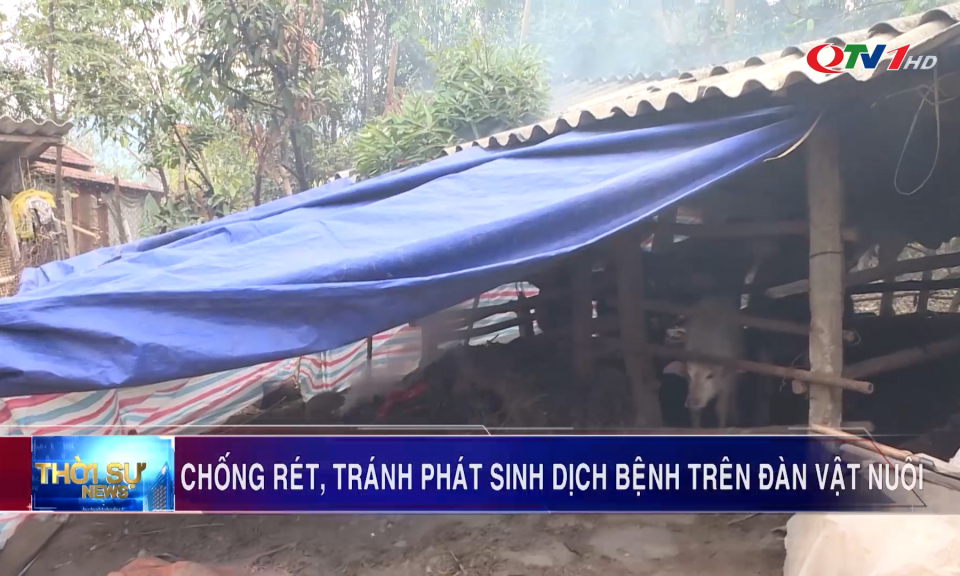 Chống rét, tránh phát sinh dịch bệnh trên đàn vật nuôi