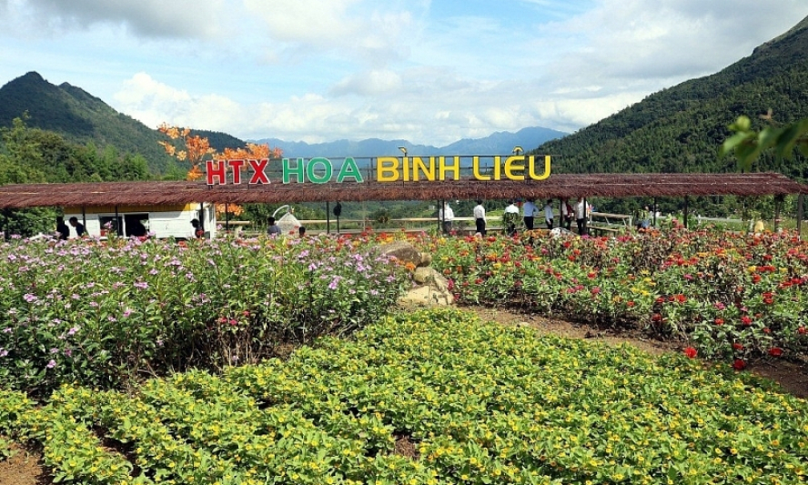 Sôi nổi các hoạt động mừng Đảng, mừng xuân