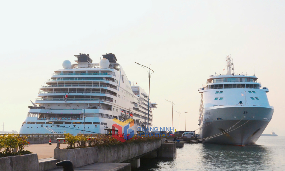 Over 1,200 foreign tourists arrive in Hạ Long on cruises