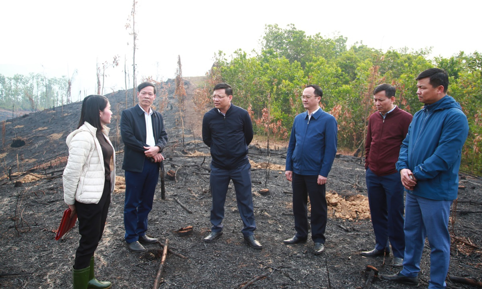 Phó Chủ tịch UBND tỉnh Nghiêm Xuân Cường kiểm tra công tác chuẩn bị lễ phát động Tết trồng cây tại huyện Tiên Yên
