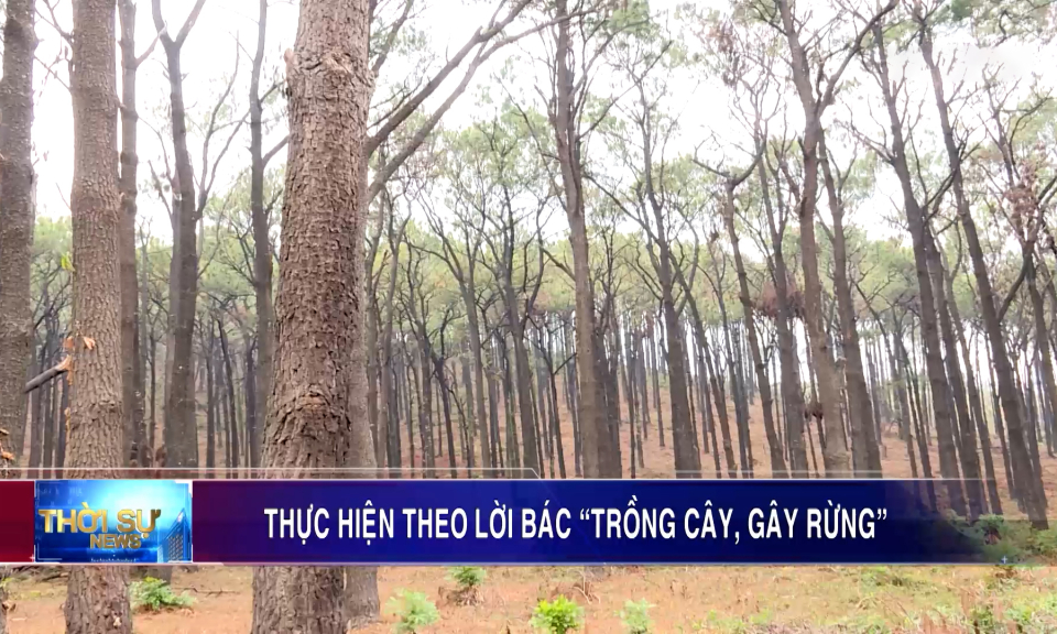 Thực hiện theo lời Bác: “Trồng cây, gây rừng”