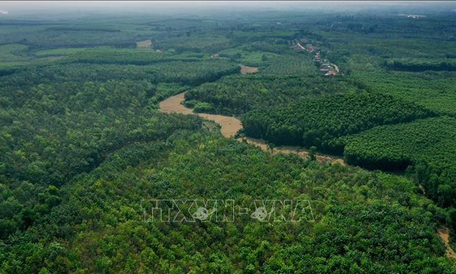 Phê duyệt Đề án Thành lập và phát triển thị trường carbon tại Việt Nam