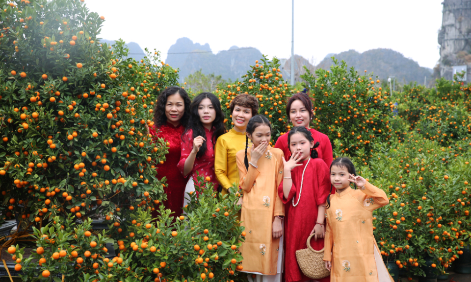 Flower markets full of spring atmosphere