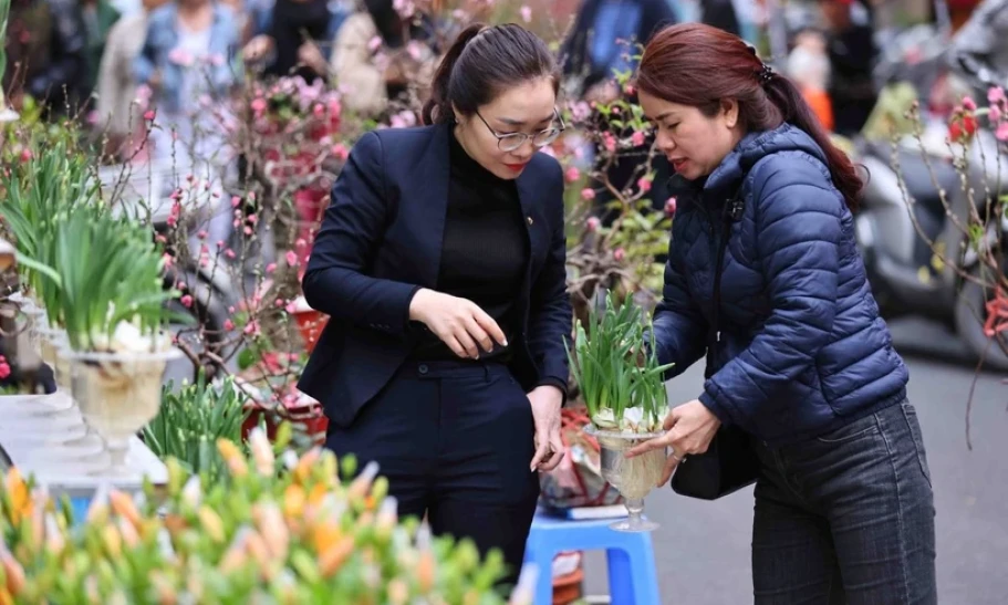 Thời tiết ngày 27 Tết: Khu vực Bắc Bộ rét đậm, Hà Nội có lúc mưa rào