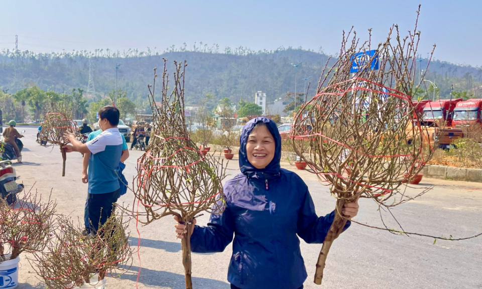 Bustling Tet markets in Quang Ninh