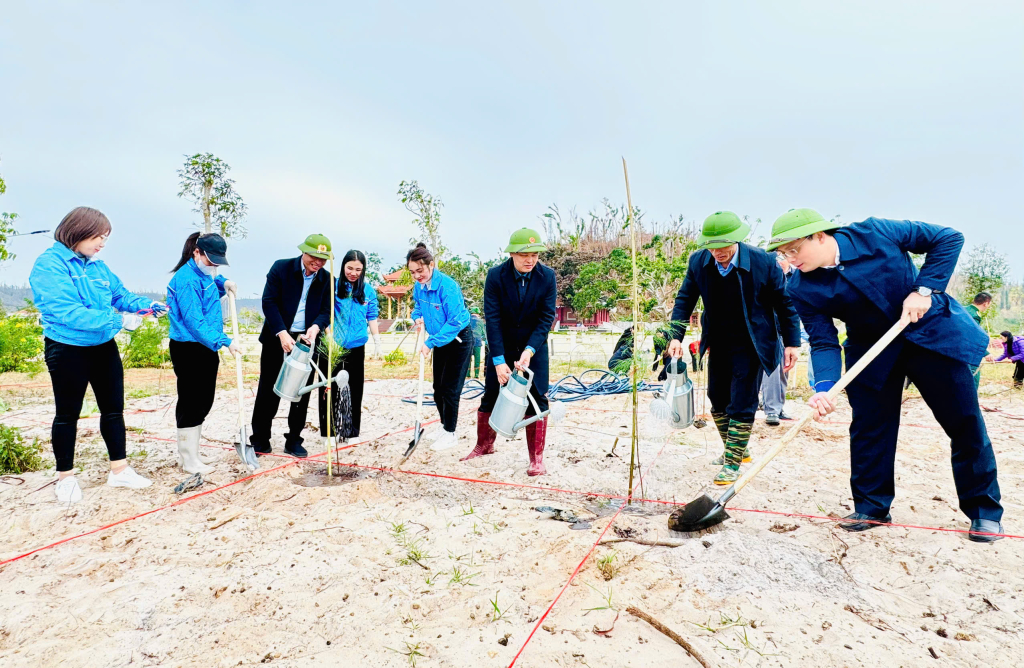 Đã có 3.000 cây phi lao được trồng tại lễ phát động Tết trồng cây Xuân Ất Tỵ tại xã Ngọc Vừng.