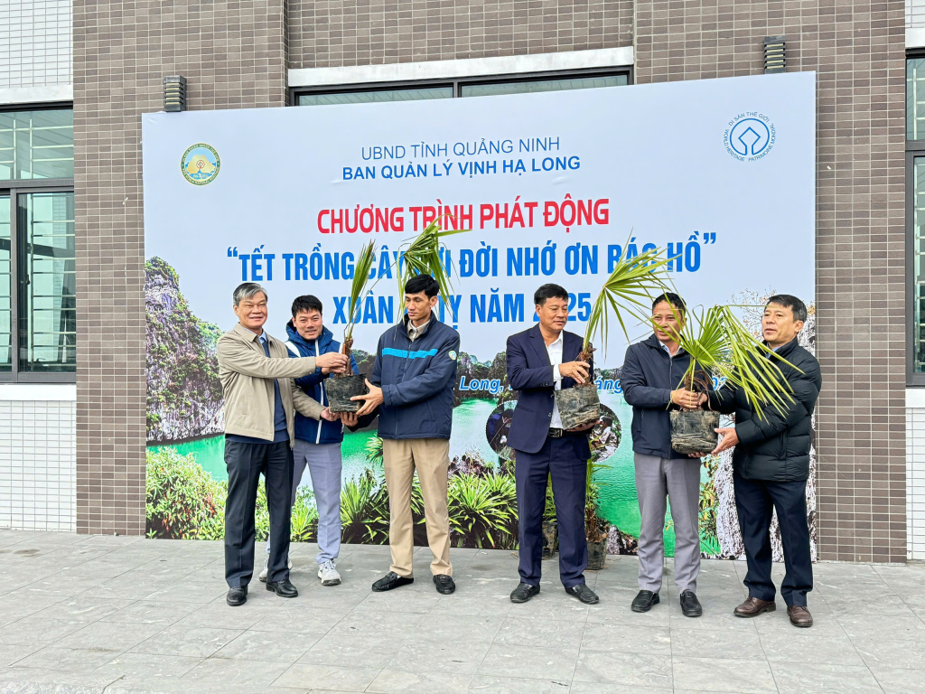 Các đơn vị nhận cây để triển khai trồng trên Vịnh Hạ Long. 